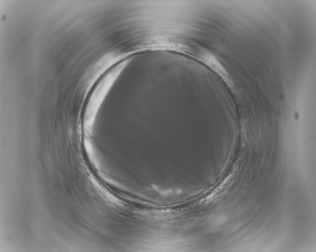 X0000059851428200511181527