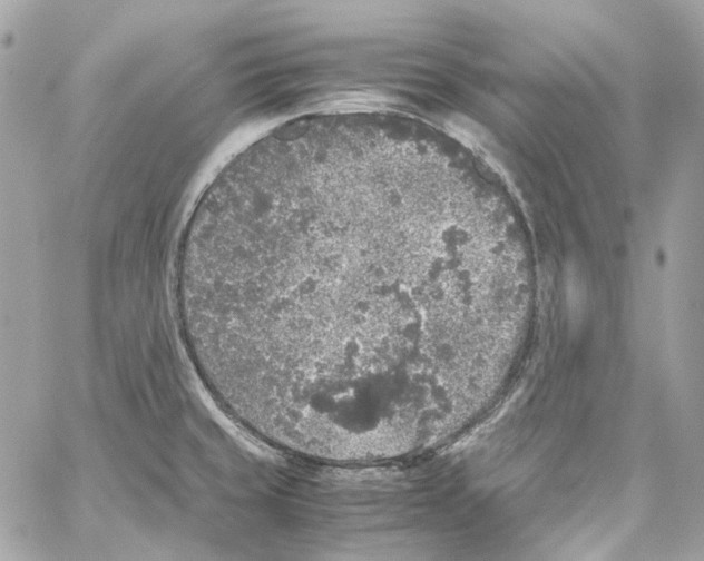 X0000059851429200511181527