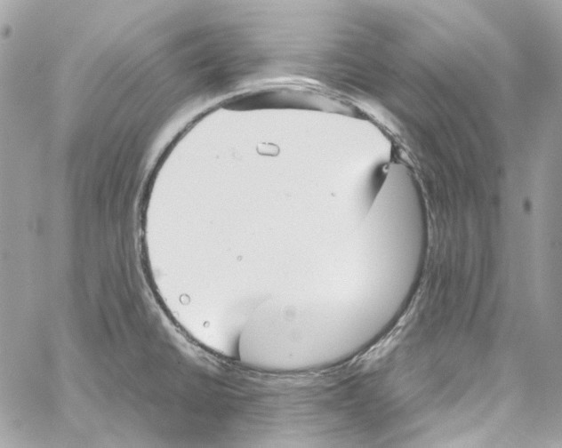 X0000059851430200511181527