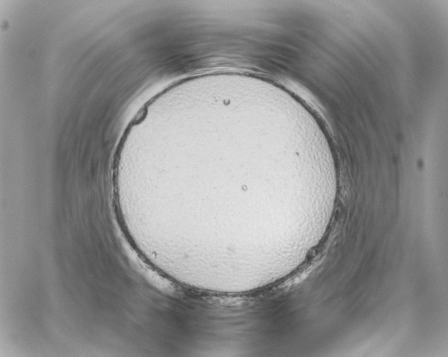 X0000059851431200511181527