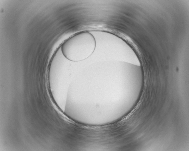 X0000059851432200511181527