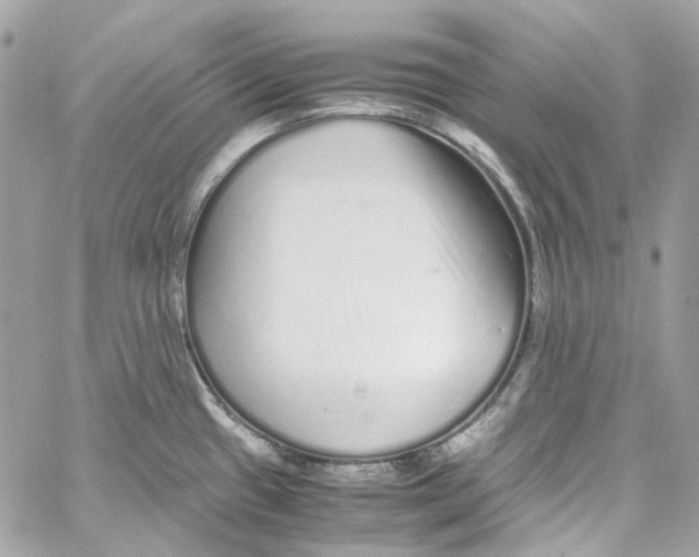 X0000059851433200511181527