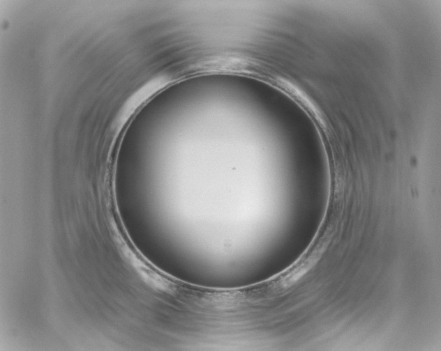 X0000059851434200511181527