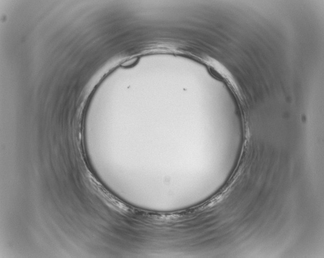 X0000059851435200511181527