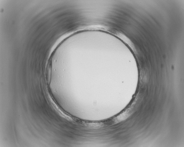 X0000059851436200511181527