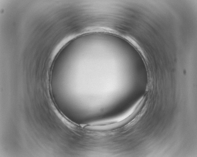 X0000059851438200511181527