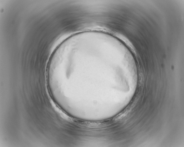 X0000059851439200511181527