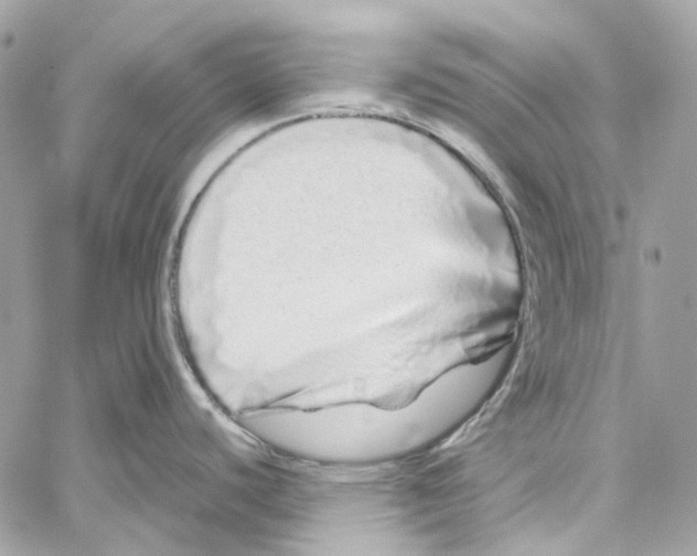 X0000059851440200511181527