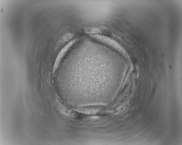 X0000059851441200511181526