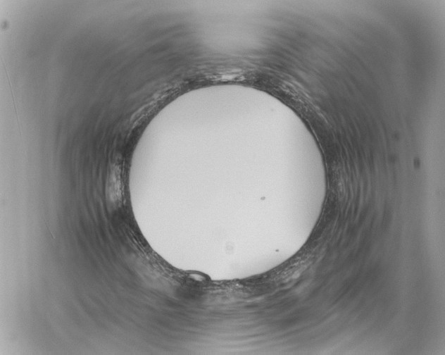 X0000059851442200511181526