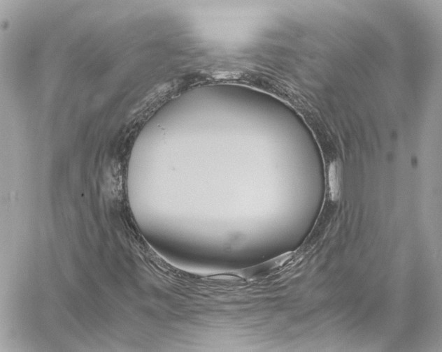 X0000059851443200511181526