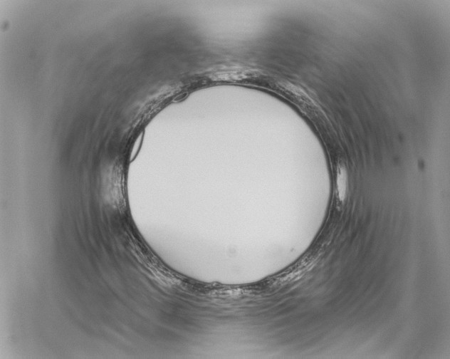 X0000059851444200511181526