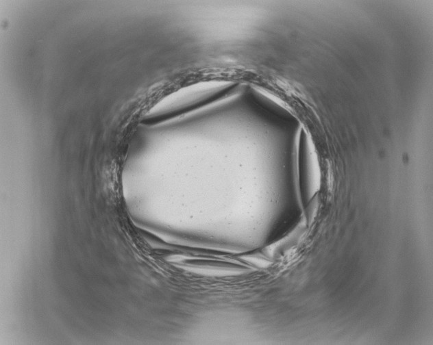 X0000059851445200511181526