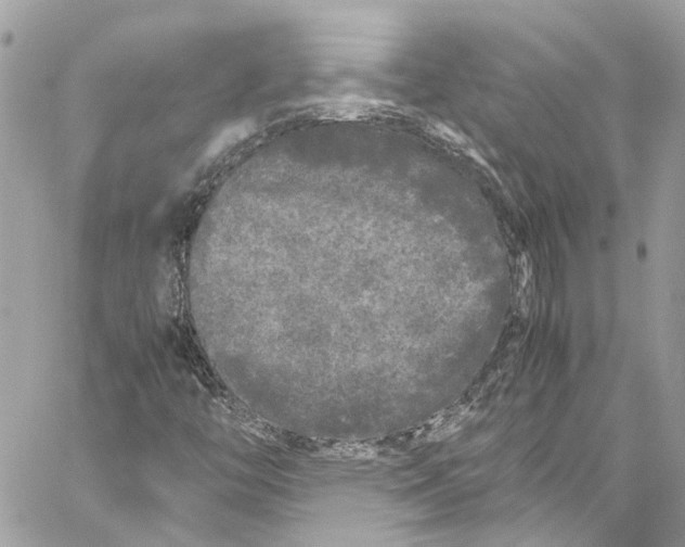 X0000059851446200511181526