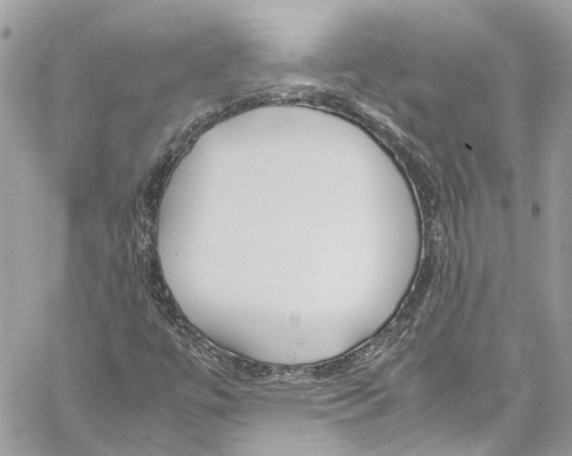 X0000059851447200511181526