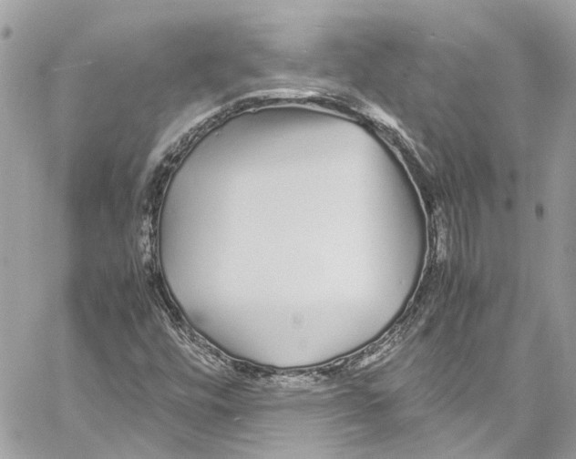 X0000059851448200511181526