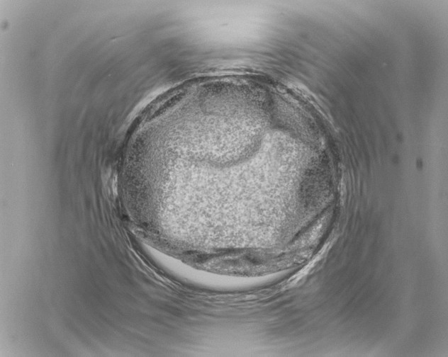 X0000059851449200511181526