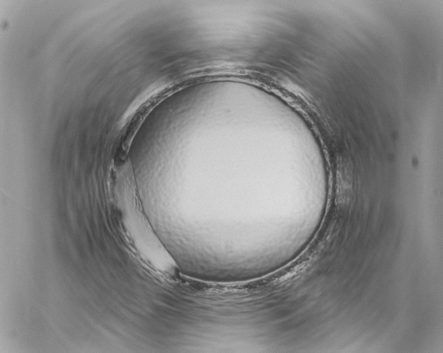 X0000059851450200511181526