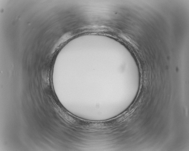 X0000059851451200511181526