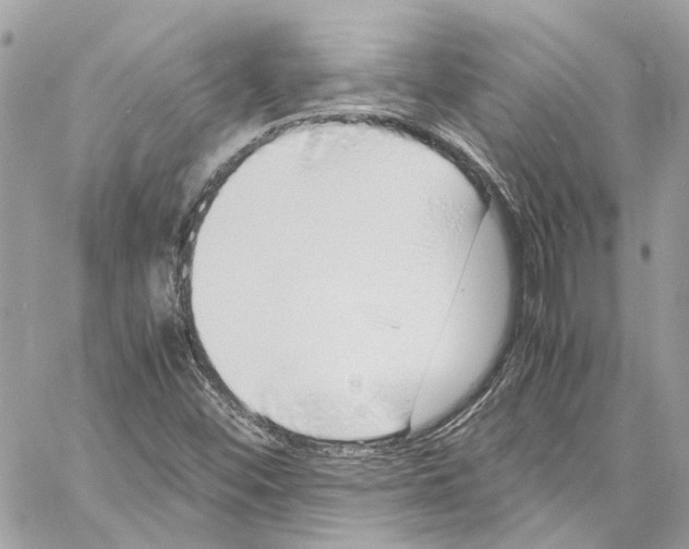 X0000059851452200511181526