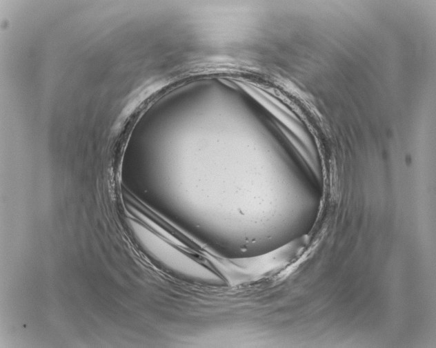 X0000059851453200511181526