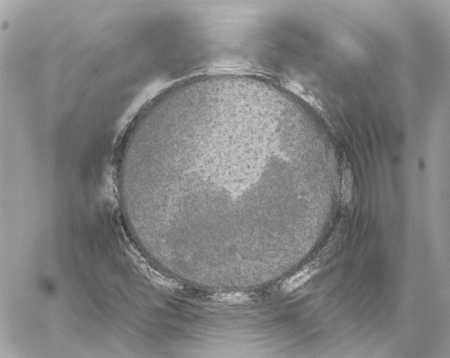 X0000059851454200511181526