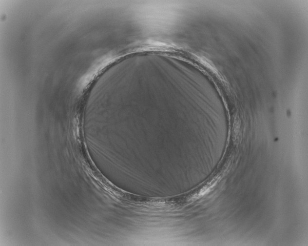 X0000059851455200511181526