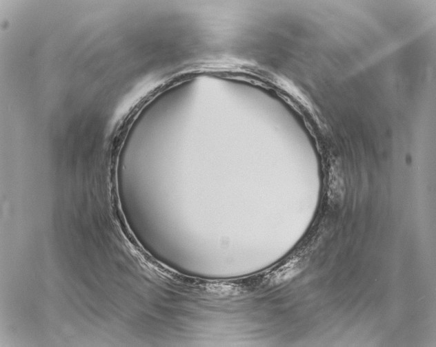 X0000059851456200511181526