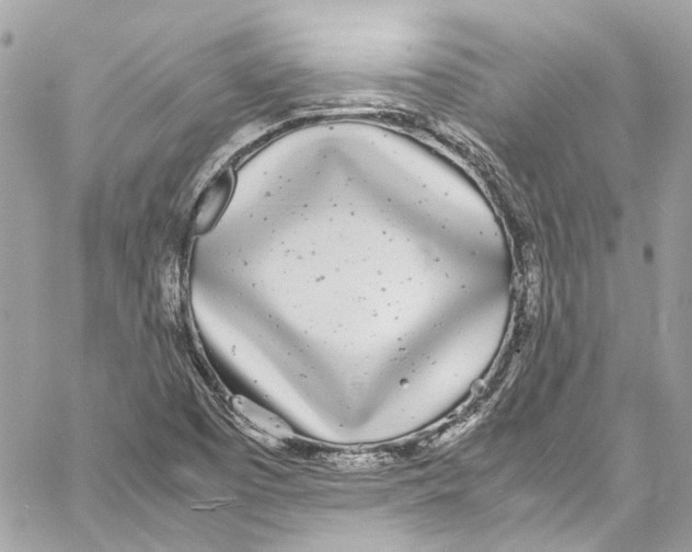 X0000059851457200511181526