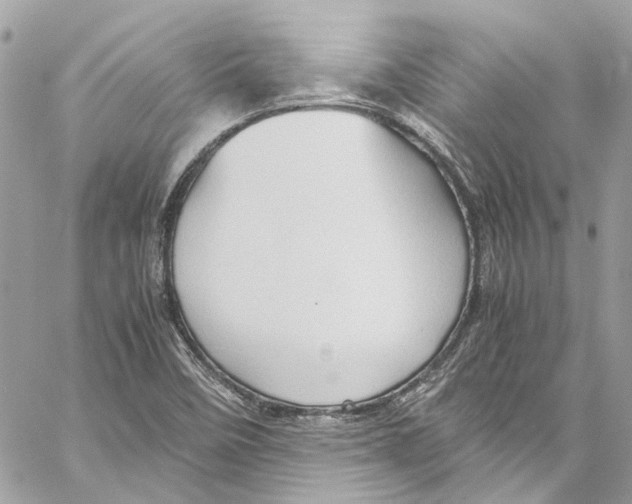 X0000059851458200511181526