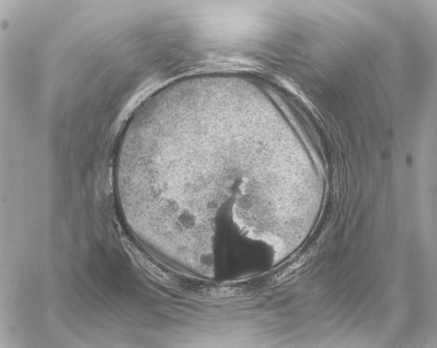 X0000059851459200511181526