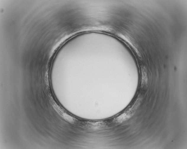 X0000059851460200511181526