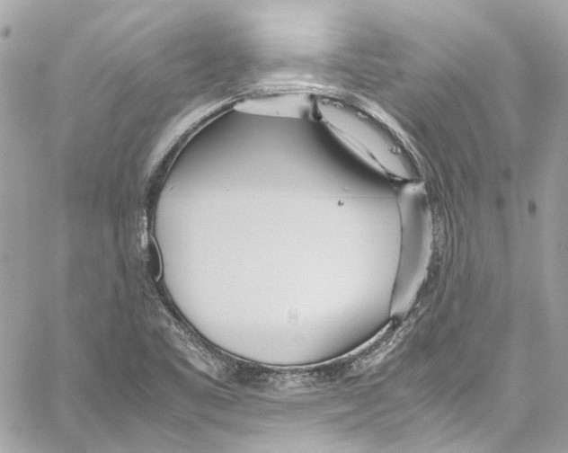 X0000059851461200511181526