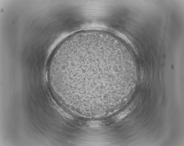 X0000059851462200511181526