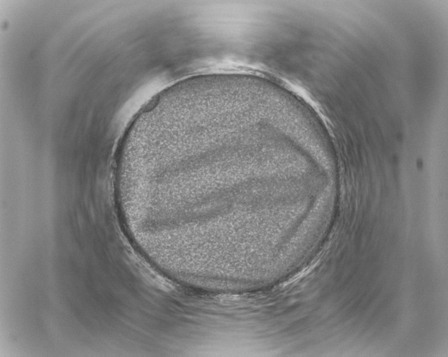 X0000059851463200511181526