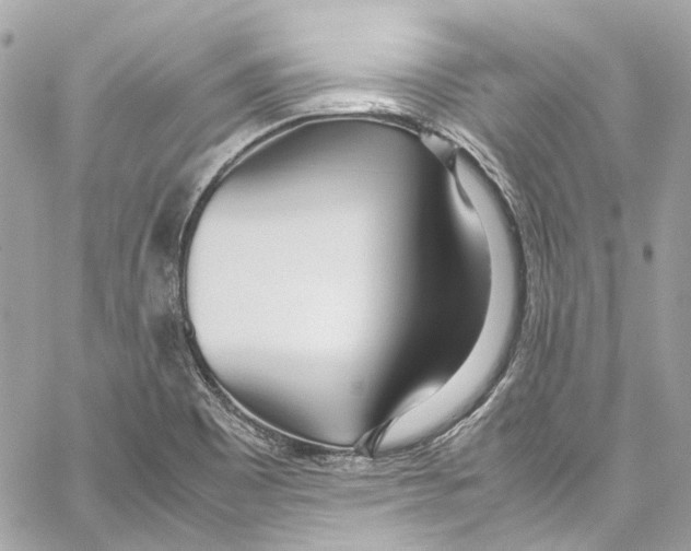 X0000059851465200511181526