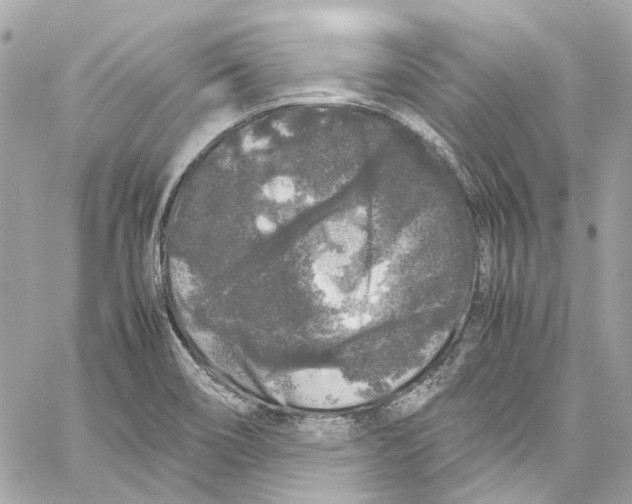 X0000059851466200511181526