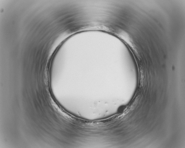 X0000059851468200511181526