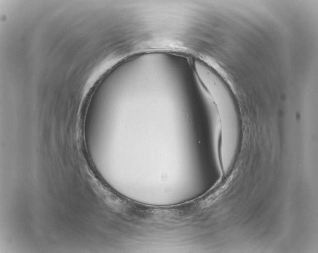 X0000059851469200511181526