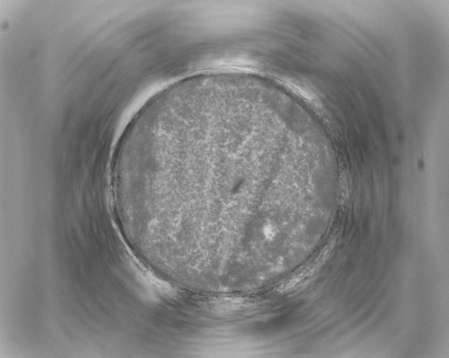 X0000059851470200511181526