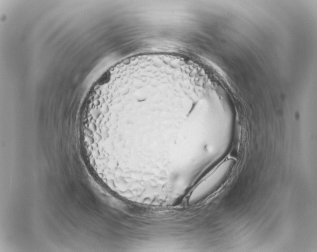 X0000059851471200511181526