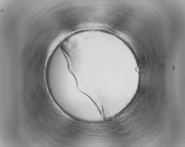 X0000059851472200511181526