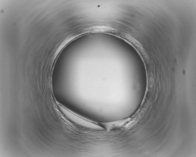 X0000059851473200511181526