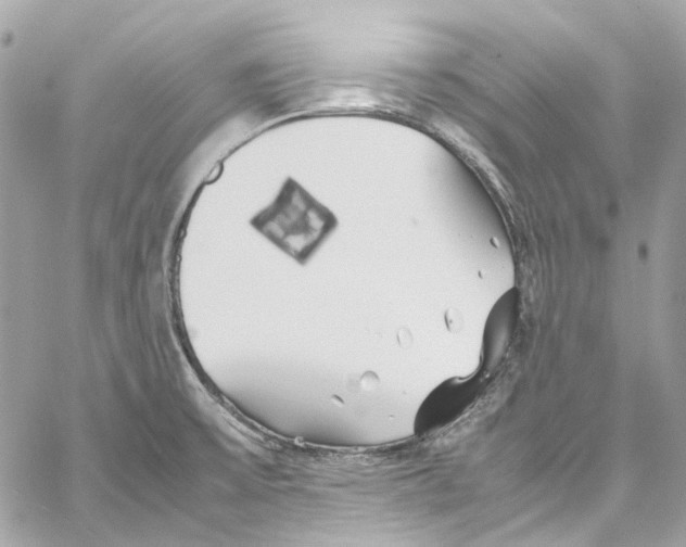 X0000059851475200511181526