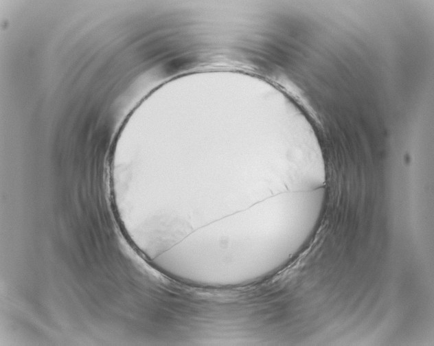 X0000059851476200511181526