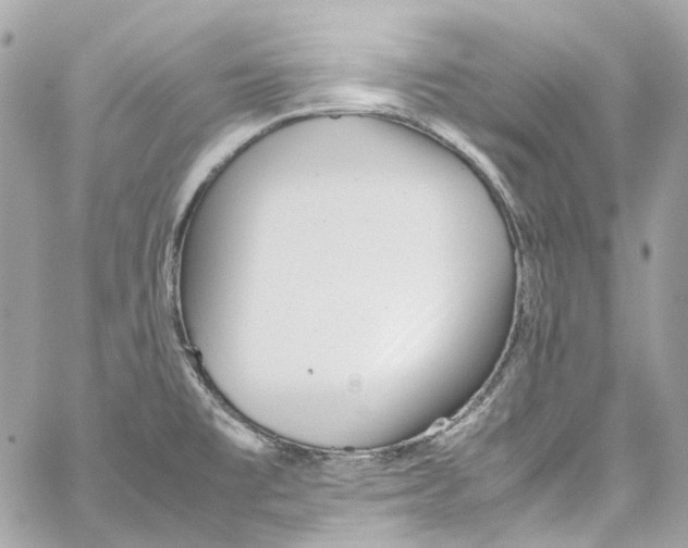 X0000059851477200511181526