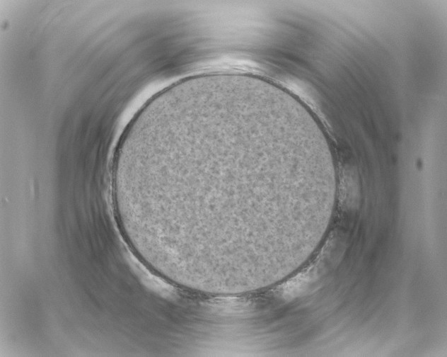 X0000059851478200511181526