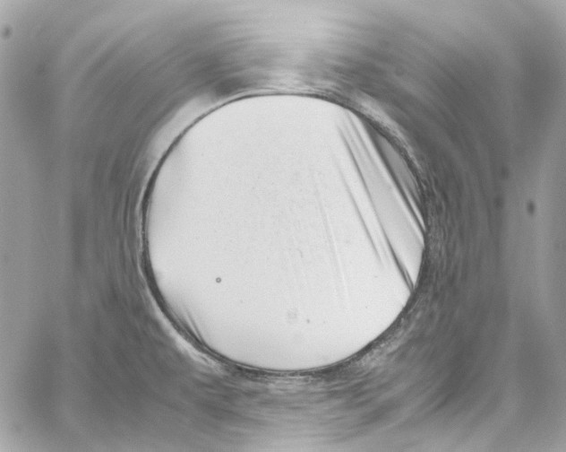 X0000059851479200511181526