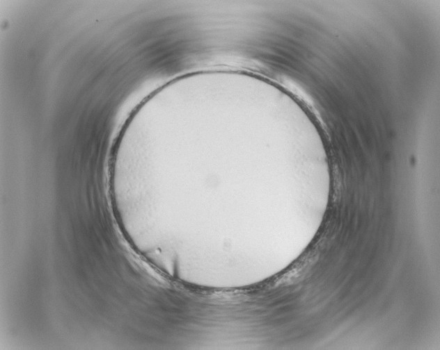 X0000059851480200511181526