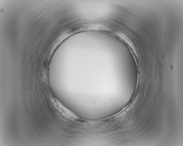 X0000059851481200511181526